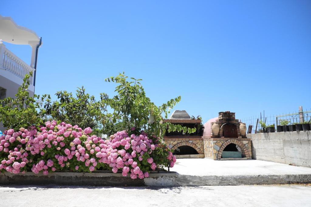 Guest House Narta Vlorë Екстериор снимка