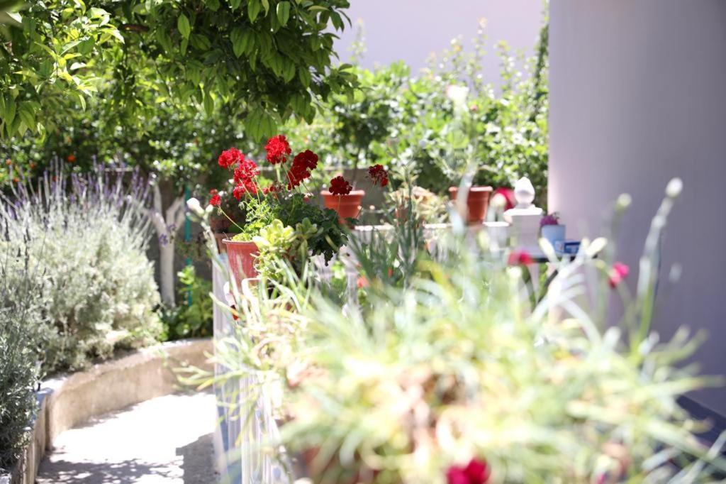 Guest House Narta Vlorë Екстериор снимка