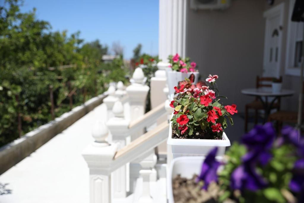 Guest House Narta Vlorë Екстериор снимка