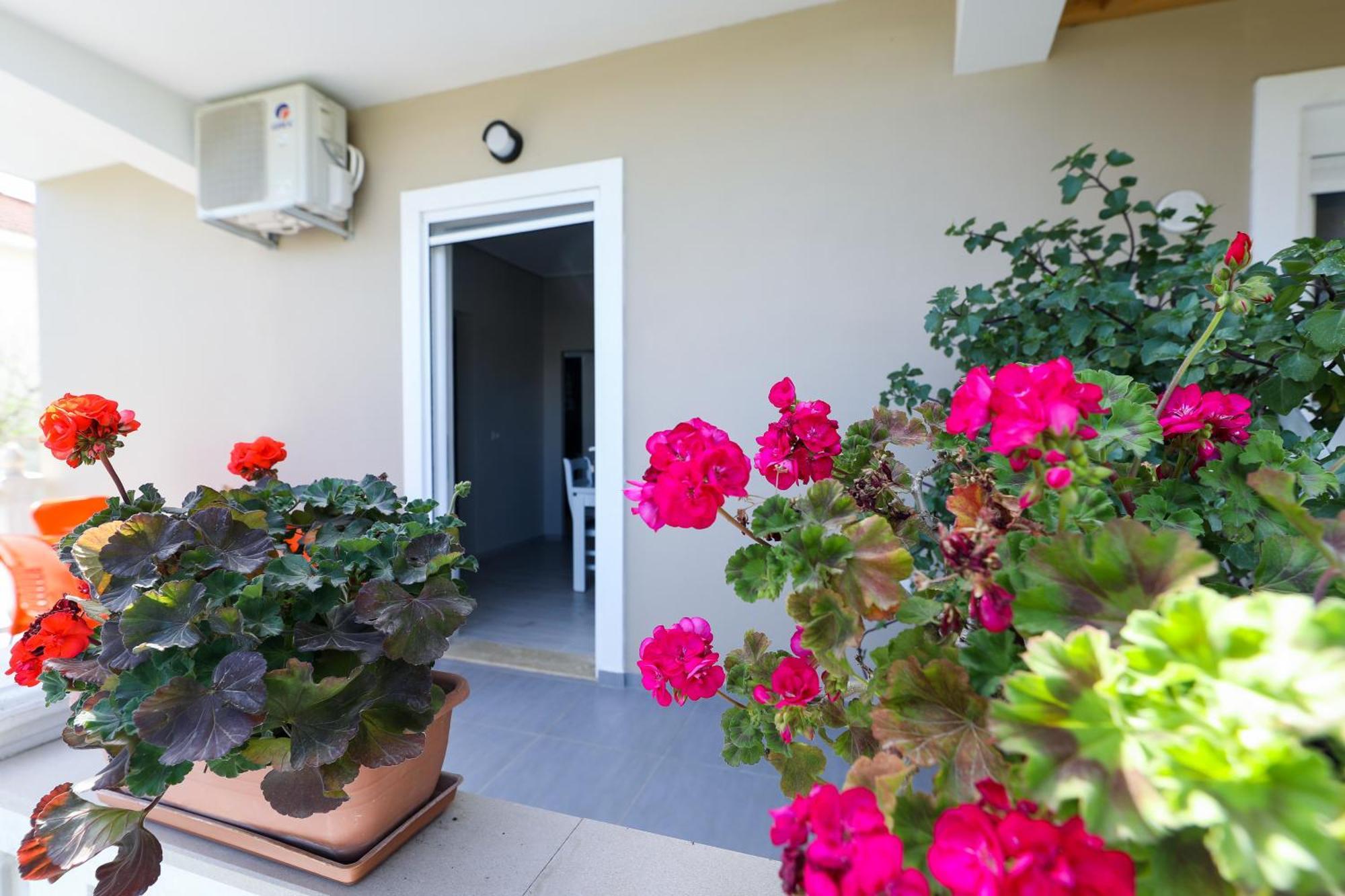 Guest House Narta Vlorë Екстериор снимка