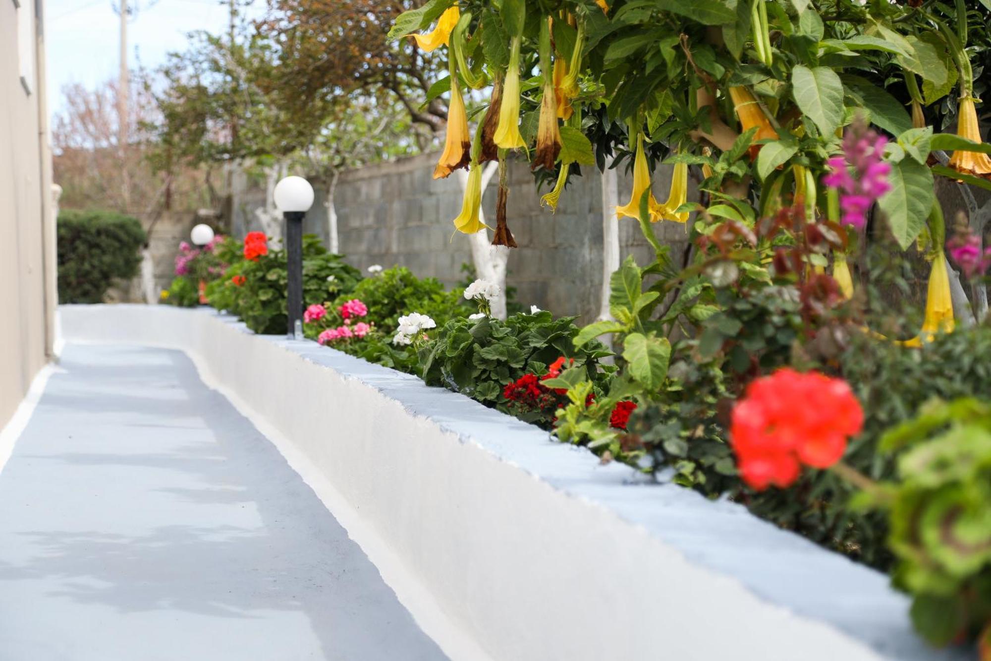 Guest House Narta Vlorë Екстериор снимка